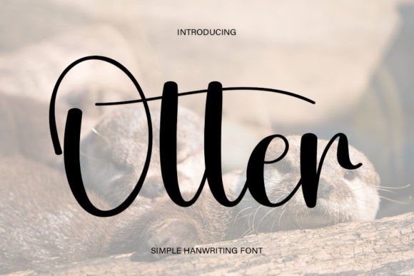 How Otter Font Elevates Small Business Branding with Handwritten Charm